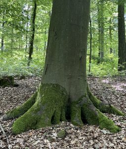 Das Unsichtbare bestimmt das Sichtbare (9. August 2026)